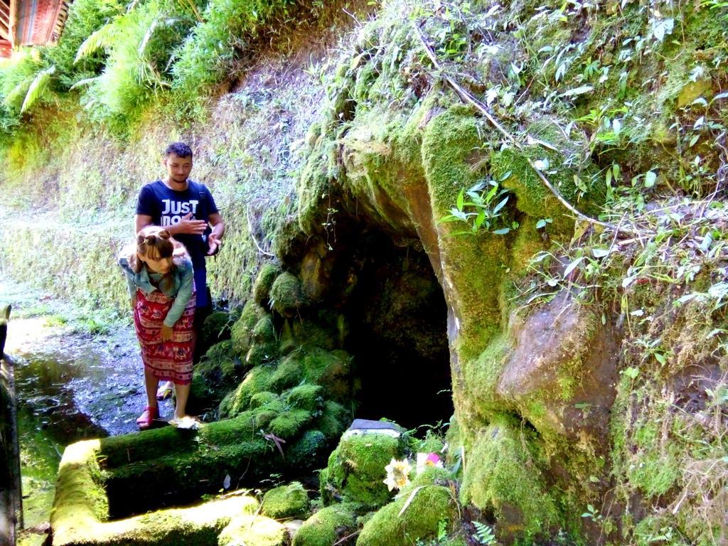 Rest Area 88 Guest House Tejakula Εξωτερικό φωτογραφία